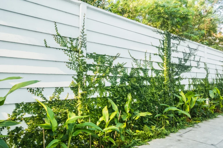 Garden Fence Ideas