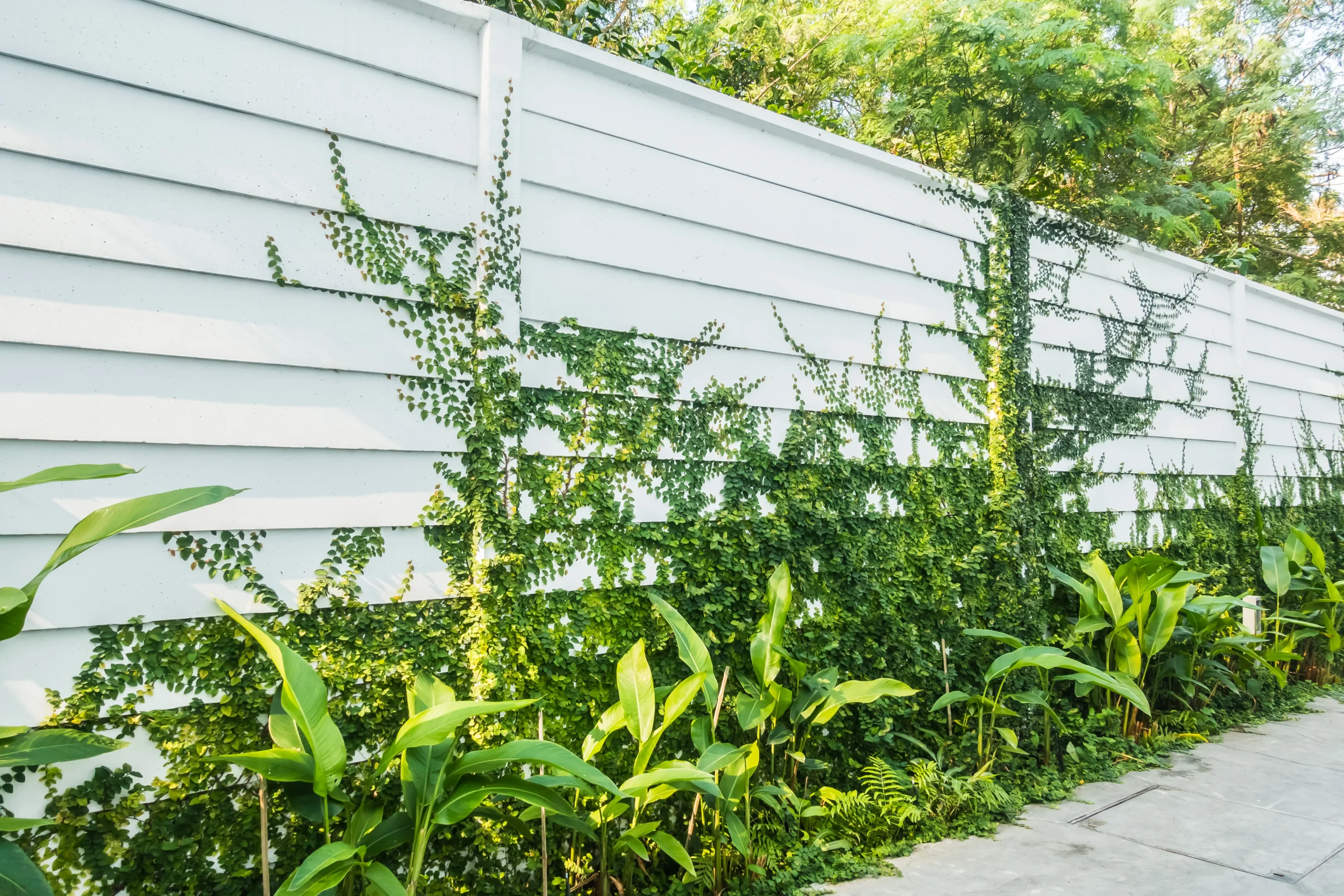 Garden Fence Ideas